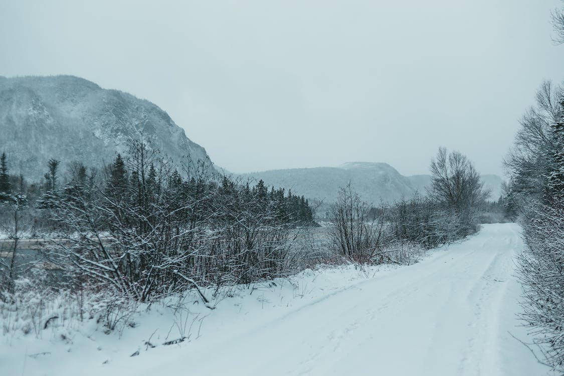 Pros and Cons of Selling to a North Carolina Land Company